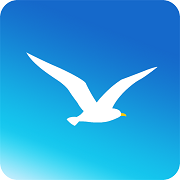 seagull vpn